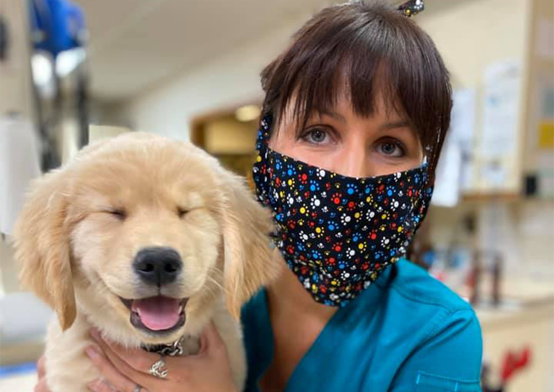 Carousel Slide 7: Dog Veterinary Care, Kuenzi
